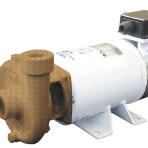 Pompe centrifuge CEM BCE22 230v 3000L/h bronze