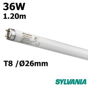 Tube Fluorescent T8 36W
