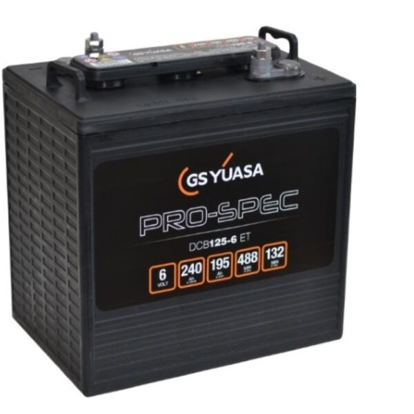 Batterie YUASA DCB125-6 6V 245Ah C20 DeepCycle 259 X 179 X 276
