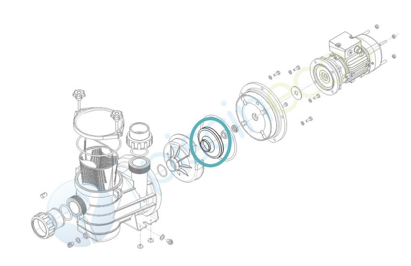Turbine CALPEDA pour pompe C41/1-BC41/1 D117mm