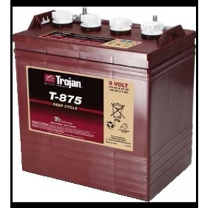 Batterie TROJAN T875 8V 165Ah DeepCycle +G 264 X 181 X 284