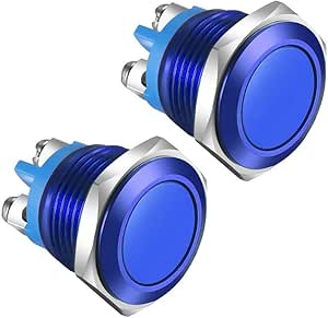 Poussoir-inter tête affleurante P19mm led 12v bleue inox IP65