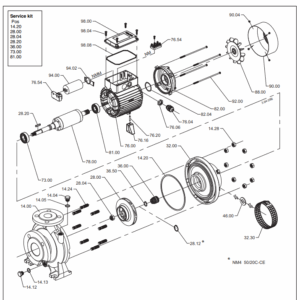 Joint torique bouchon CALPEDA pour NGX3/4
