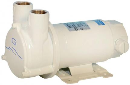 Pompe centrifuge GIANNESCHI CP20G 220v 2700L/h