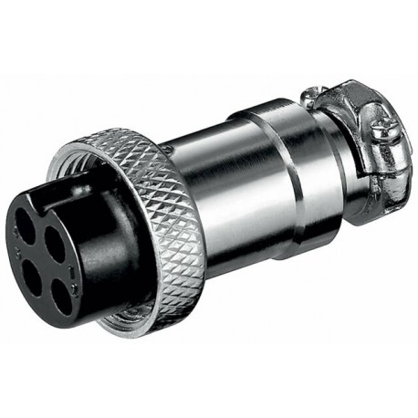 Fiche micro femelle 4P