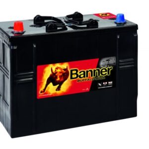 Batterie BANNER Buffalo BULL 62513 12V 125 Ah 760 EN (ex ER600)