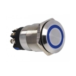 Poussoir tête bombée affleurante 12v led bleue P22mm inox IP67
