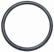 Joint torique VENEZIA pour filtre 3/4 - 1" - 101.2 X 3.53mm