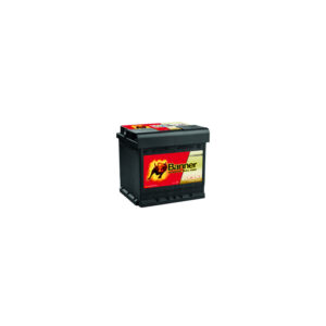 Batterie Banner AGM550 L1 12V 50Ah 540A +D 210 X 175 X 190