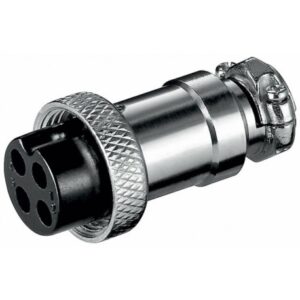 Fiche micro femelle 4P
